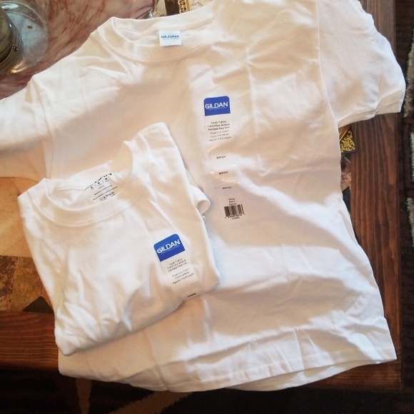 plain white t shirt bundle